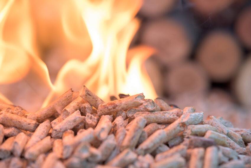 Wood fuels have a wide and useful impact on an energy industry. From past few years, the importance of using wood fuels increasing day by day which is now become a sustainable energy solution.