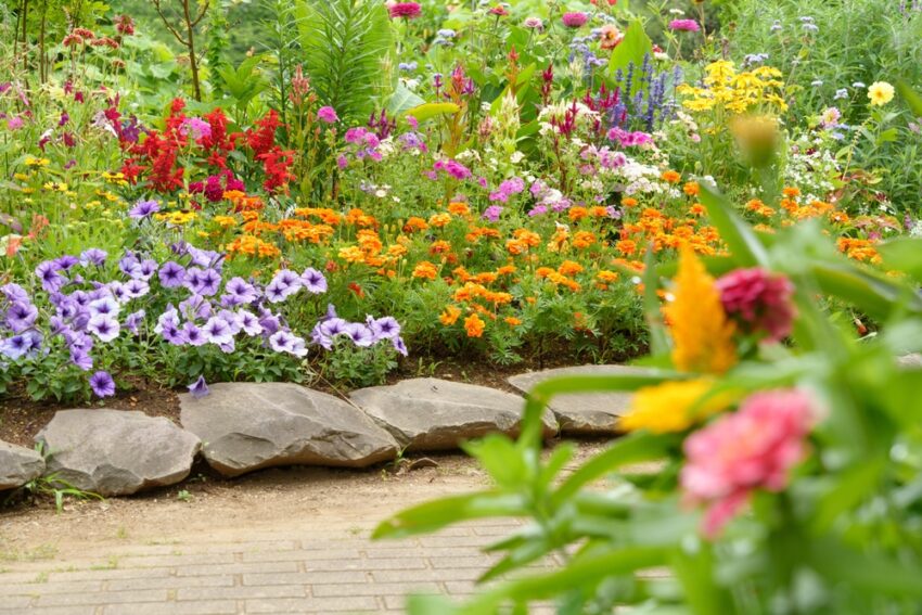 The perfect photos are about more than just what’s in the foreground. You need a gorgeous backdrop to tie the image together and make it look amazing.