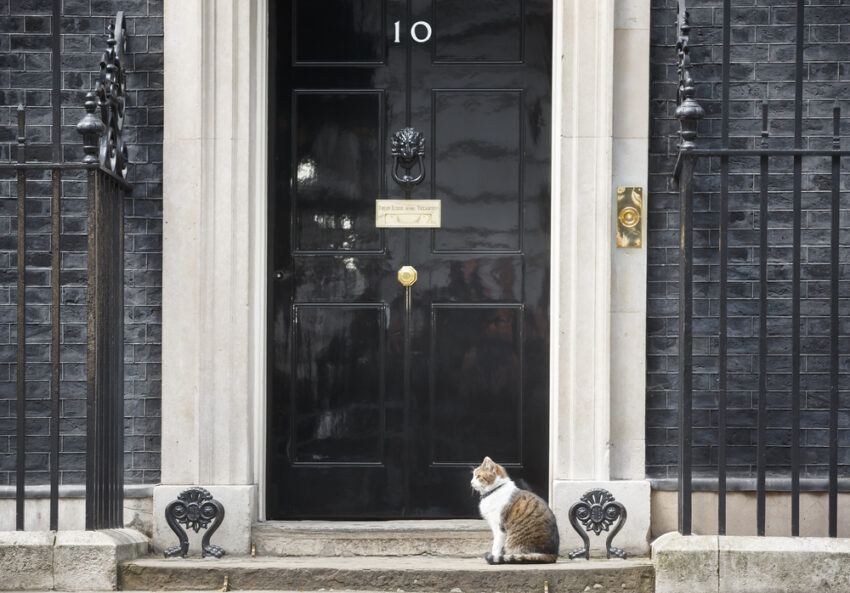 Rumour has it that Rachel Reeves is limbering up for November with a Budget that will make the taxman’s quill squeak like a stuck pig. Property, pensions, profits, pasties — all grist to the Exchequer’s mill.