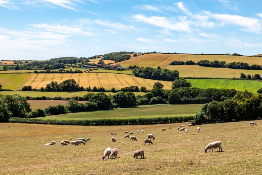 Agricultural technology startup Wild Bioscience has secured £45 million in Series A funding led by the Ellison Institute of Technology (EIT), the research organisation founded by Larry Ellison, chairman and chief technology officer of Oracle.