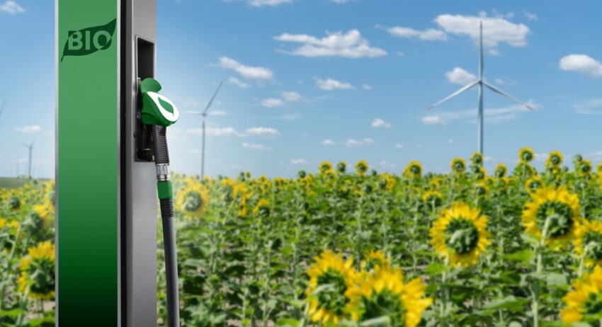 As the UK strives to achieve net zero, the biofuel sector serves as a crucial foundation for sustainable growth.